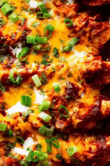 Chicken Enchiladas