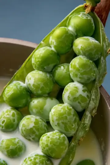 Cream Peas